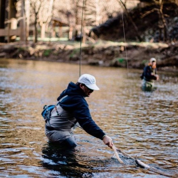 Meet your Posher, Will - Picture 1 of 1